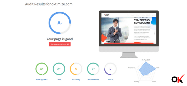 Website Audit for OKTimize